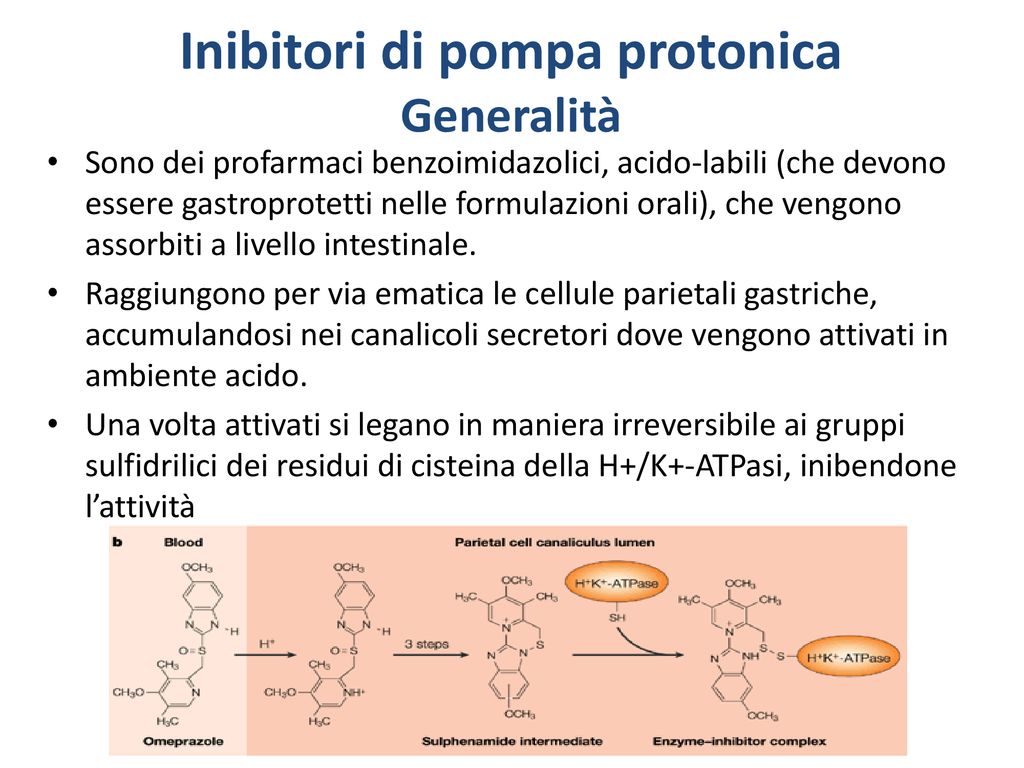 Inibitori Di Pompa Ed Assorbimento Intestinale Di Calcio - Ppt Scaricare