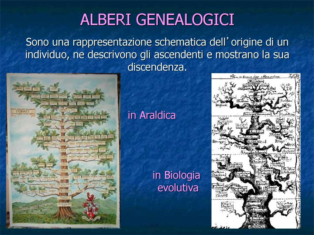 Alberi Genealogici E Loro Analisi Ppt Scaricare