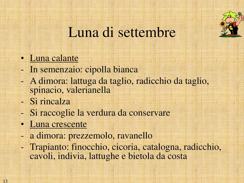 Finocchi organici freschi sulla tavola scura di legno