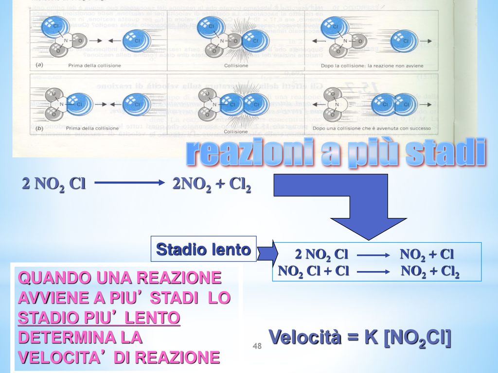 reazioni a più stadi Velocità = K [NO2Cl] 2 NO2 Cl 2NO2 + Cl2