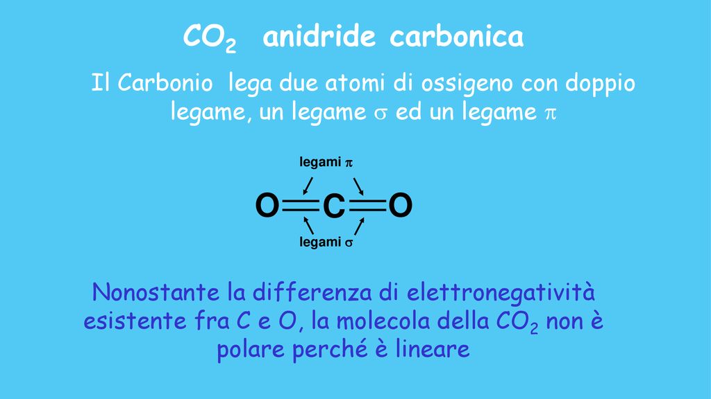 O C CO2 anidride carbonica