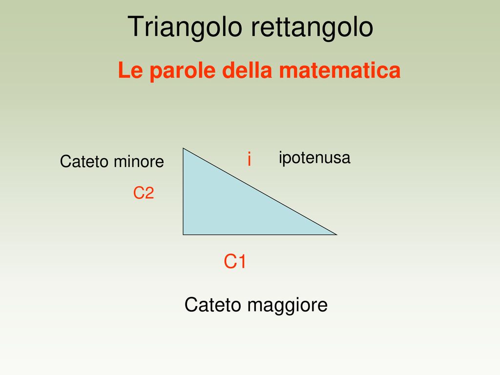 Triangolo rettangolo Le parole della matematica i C1 Cateto maggiore