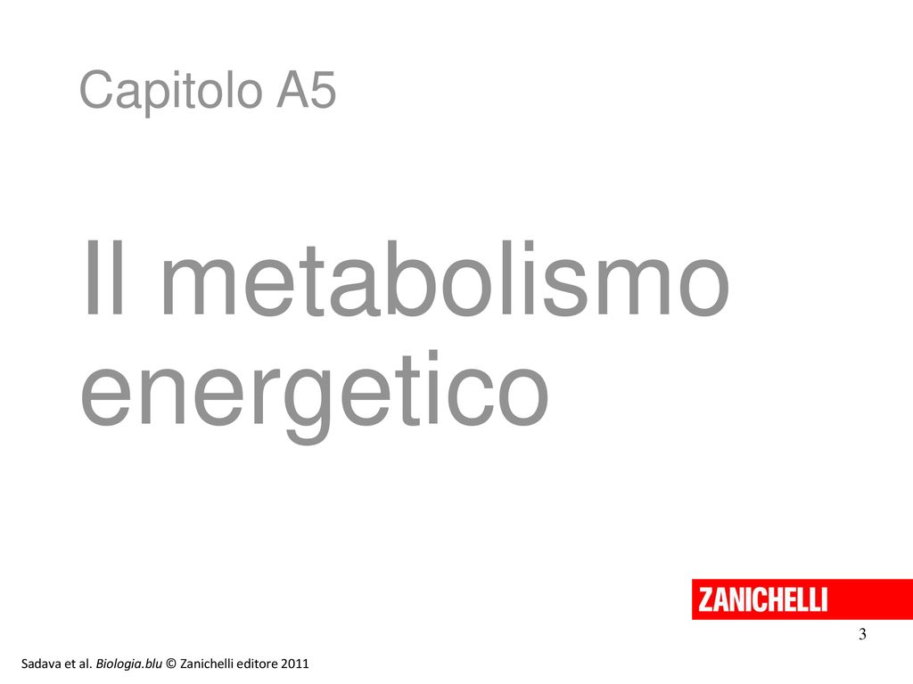 Il metabolismo energetico Capitolo A5 3 13/11/11 13/11/11 13/11/11 3 3