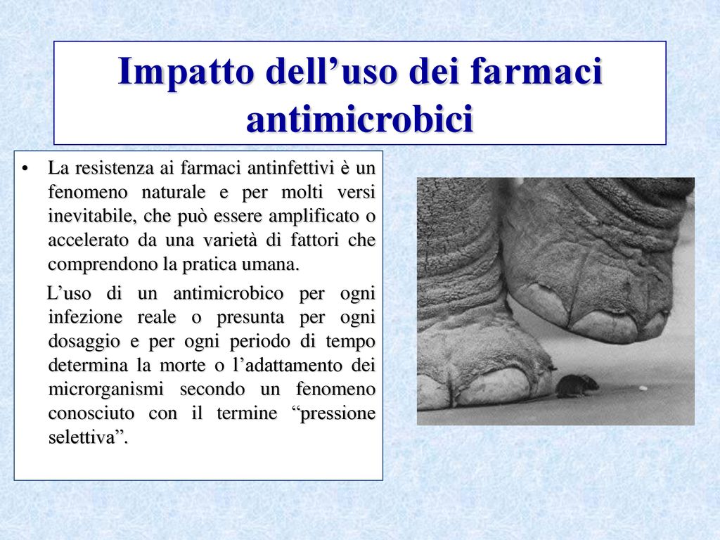 La Resistenza Agli Antibiotici - Ppt Scaricare