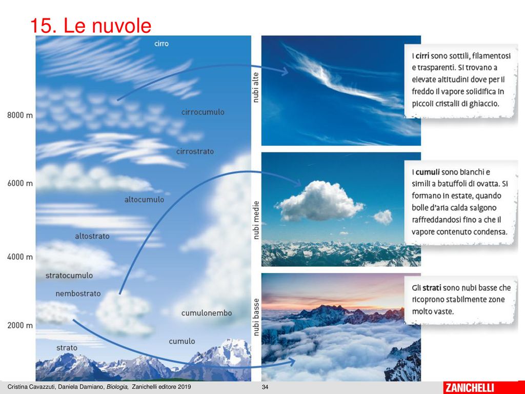 15. Le nuvole Cristina Cavazzuti, Daniela Damiano, Biologia, Zanichelli editore 2019