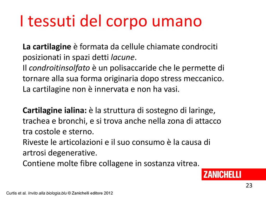 090912 2711 Ppt Scaricare