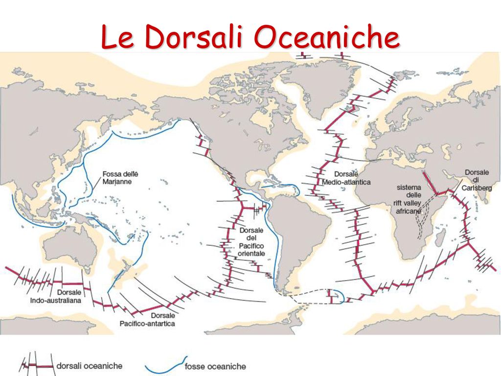 Le Dorsali Oceaniche Margini costruttivi: nasce nuova crosta lungo le dorsali oceaniche.