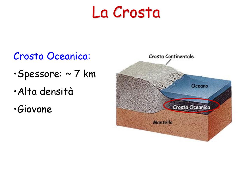 La Crosta Crosta Oceanica: Spessore: ~ 7 km Alta densità Giovane