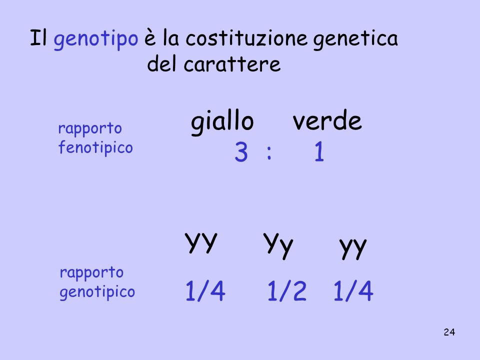 Il genotipo è la costituzione genetica del carattere