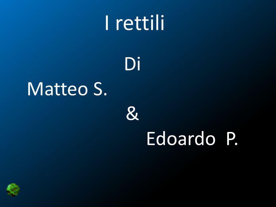 I rettili Di Matteo S. & Edoardo P.