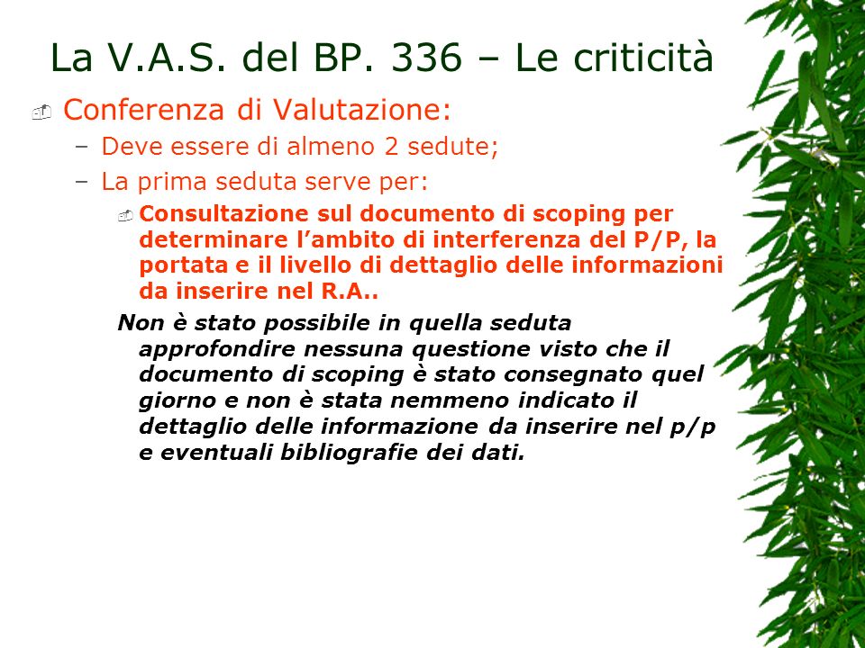 La V.A.S. del BP. 336 – Le criticità