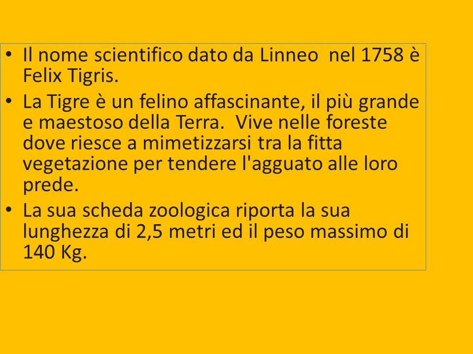 Il nome scientifico dato da Linneo nel 1758 è Felix Tigris.
