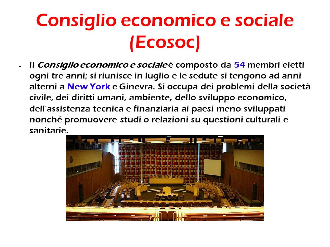 Consiglio economico e sociale (Ecosoc)