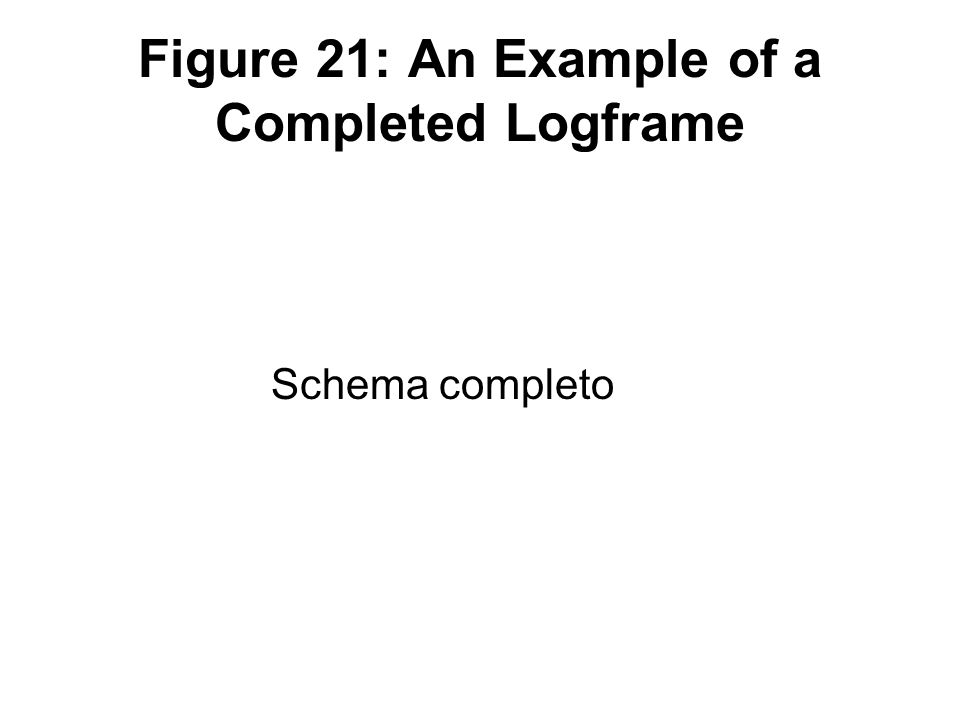 Figure 21: An Example of a Completed Logframe