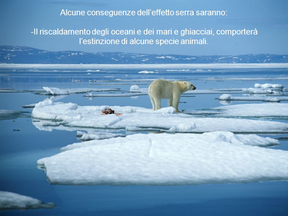 Alcune conseguenze dell’effetto serra saranno: -Il riscaldamento degli oceani e dei mari e ghiacciai, comporterà l’estinzione di alcune specie animali.
