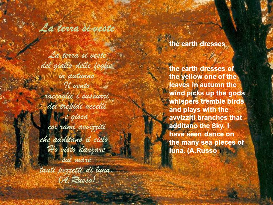 La terra si veste La terra si veste del giallo delle foglie in autunno Il vento raccoglie i sussurri dei trepidi uccelli e gioca coi rami avvizziti.