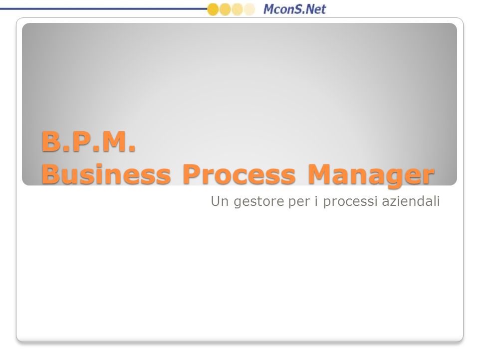 B.P.M. Business Process Manager