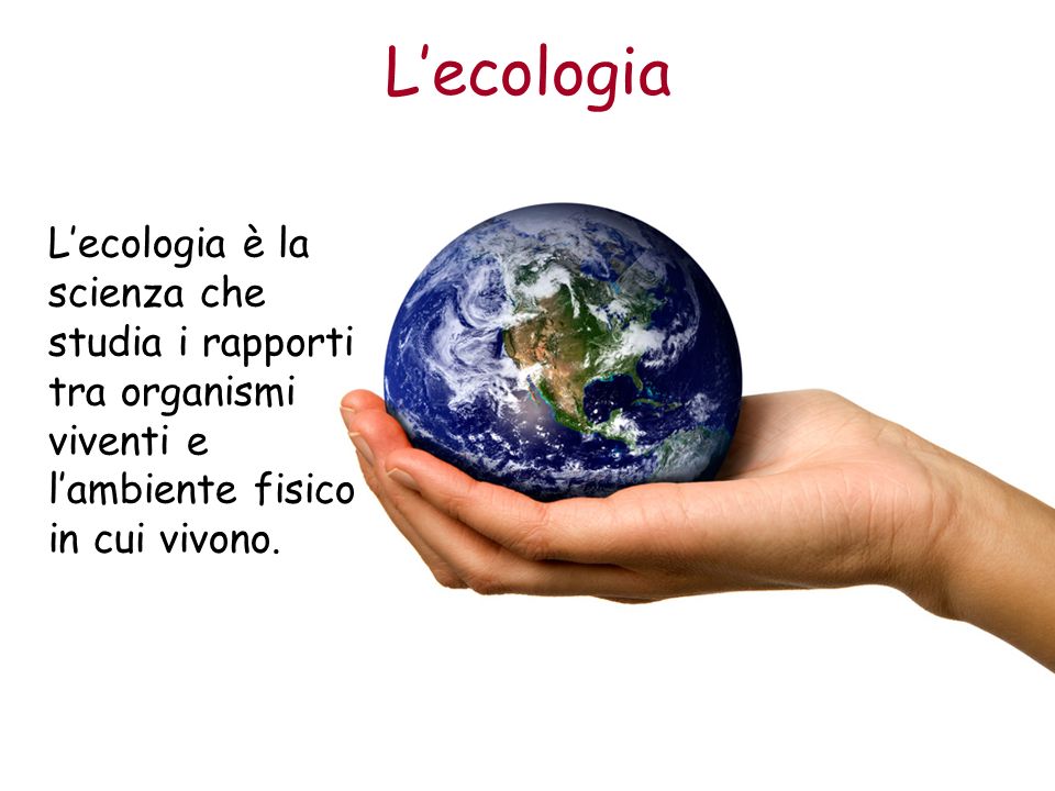 L’ecologia L’ecologia è la scienza che studia i rapporti tra organismi viventi e l’ambiente fisico in cui vivono.