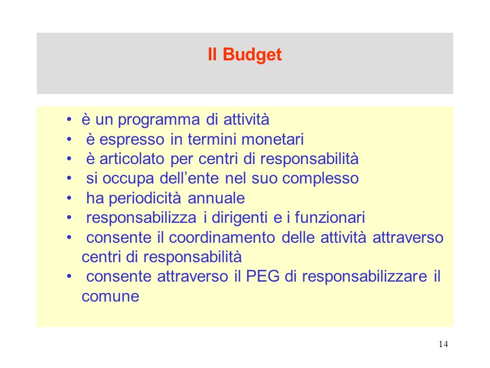 Il Budget è un programma di attività è espresso in termini monetari