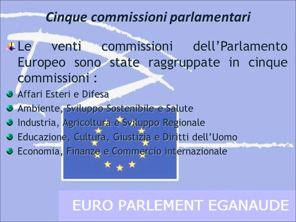 Cinque commissioni parlamentari