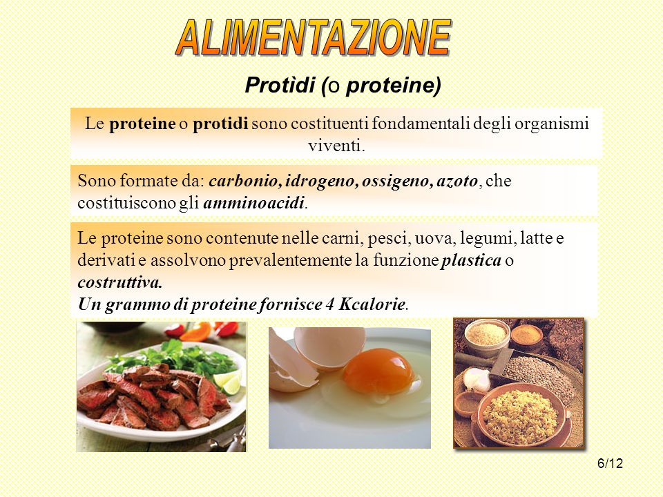 ALIMENTAZIONE Protìdi (o proteine)