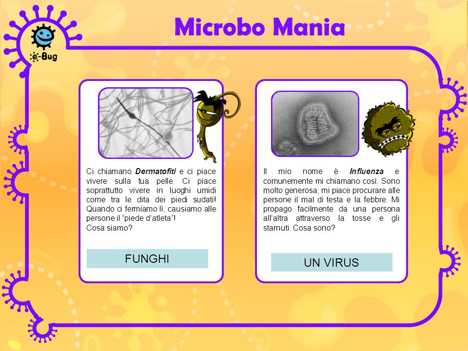 Microbo Mania FUNGHI UN VIRUS