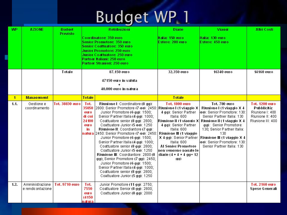 Budget WP 1
