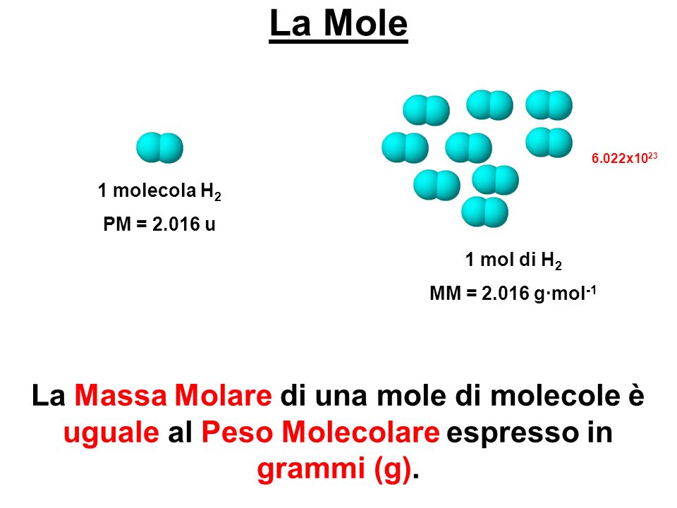 La Mole 1 molecola H2. PM = u. 1 mol di H2. MM = g∙mol x1023.