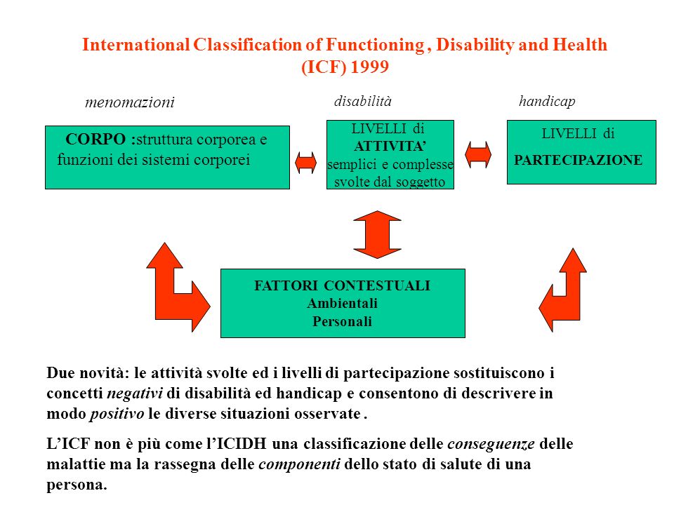 International Classification of Functioning , Disability and Health (ICF) 1999