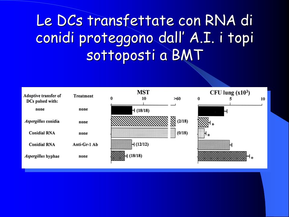 Le DCs transfettate con RNA di conidi proteggono dall’ A. I