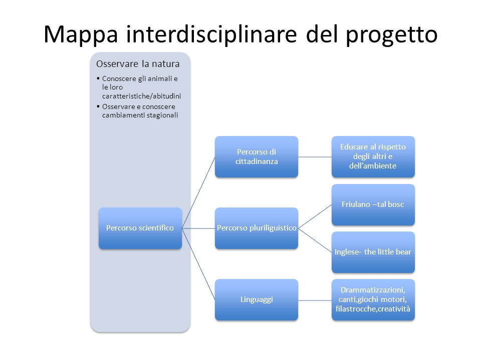 Mappa interdisciplinare del progetto
