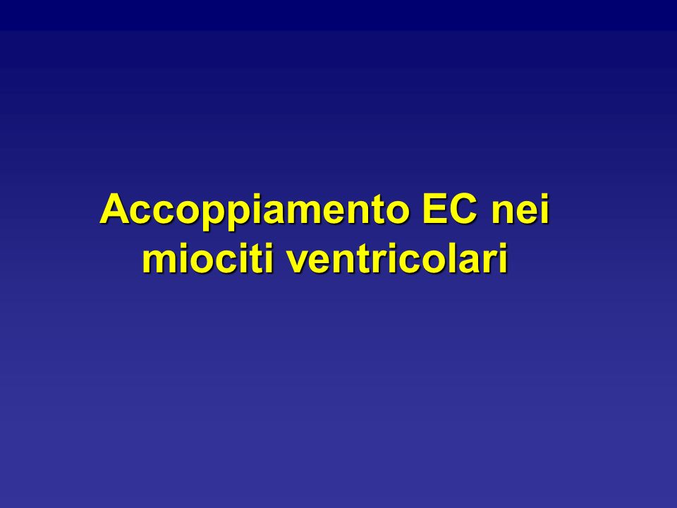 Accoppiamento EC nei miociti ventricolari
