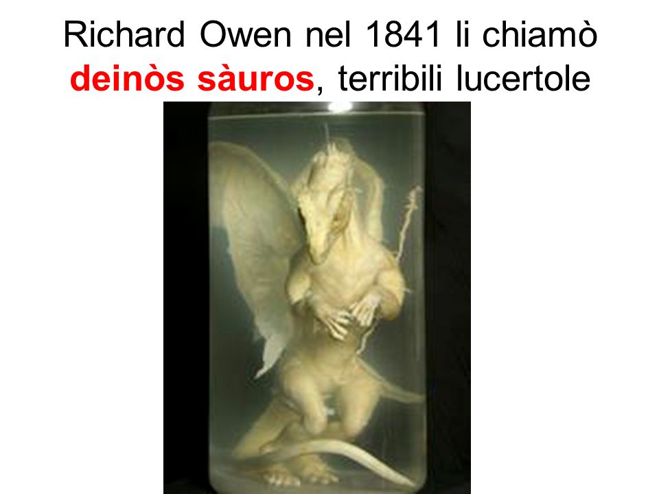 Richard Owen nel 1841 li chiamò deinòs sàuros, terribili lucertole