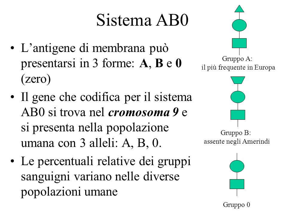 Gruppo A: il più frequente in Europa. Sistema AB0. L’antigene di membrana può presentarsi in 3 forme: A, B e 0 (zero)