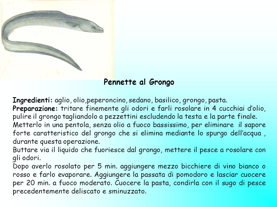 Pennette al Grongo Ingredienti: aglio, olio,peperoncino, sedano, basilico, grongo, pasta.