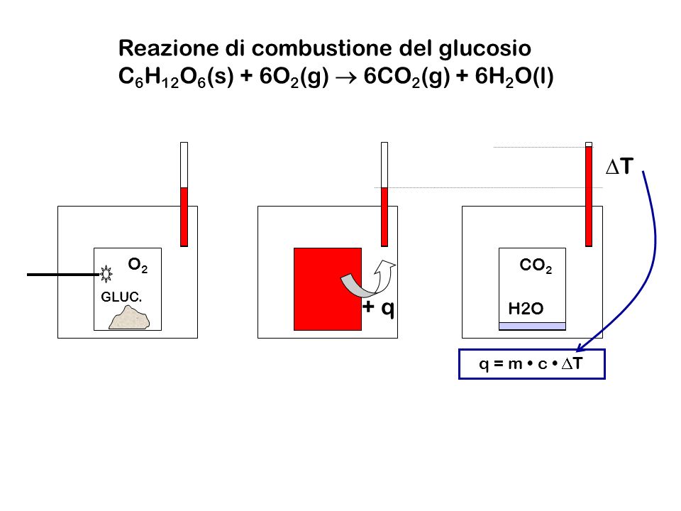 Reazione di combustione del glucosio
