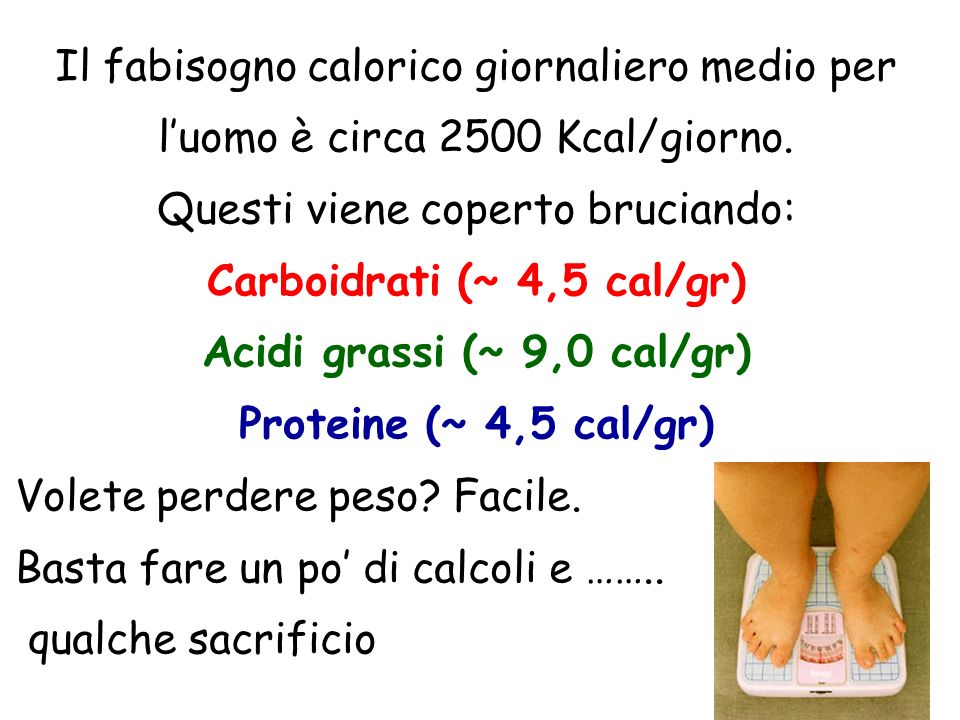 Carboidrati (~ 4,5 cal/gr) Acidi grassi (~ 9,0 cal/gr)