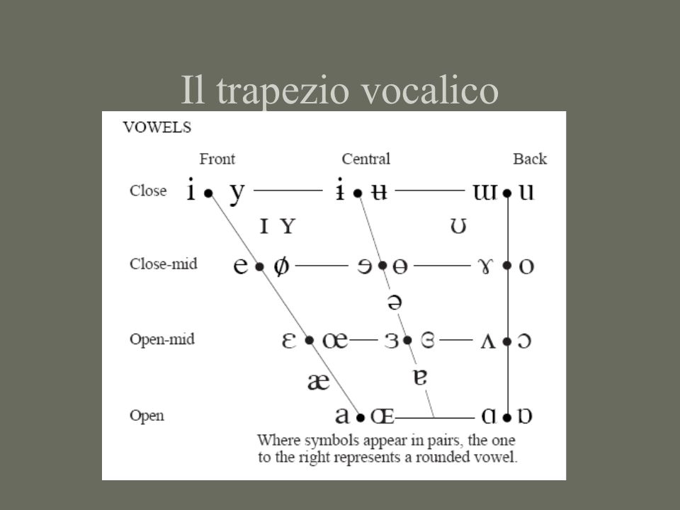 Il trapezio vocalico
