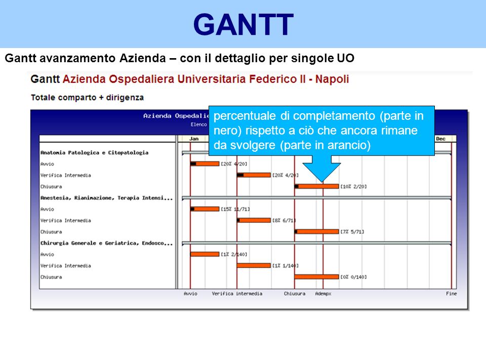 GANTT Gantt avanzamento Azienda – con il dettaglio per singole UO
