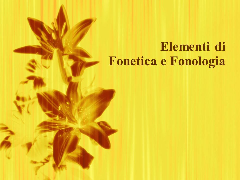 Elementi di Fonetica e Fonologia