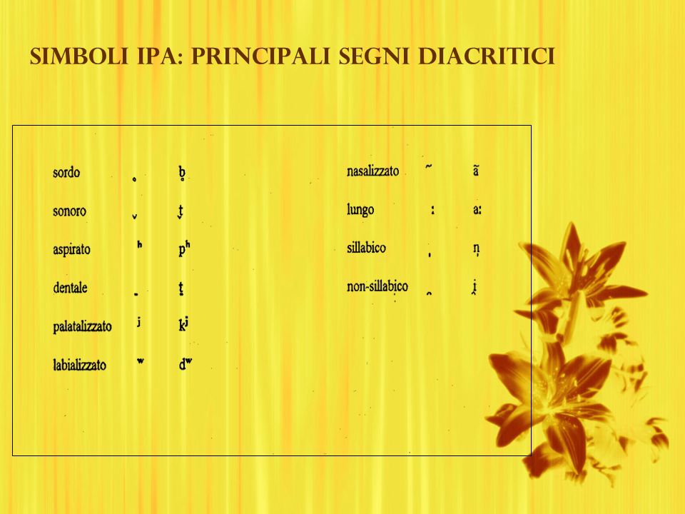 Simboli IPA: principali segni diacritici