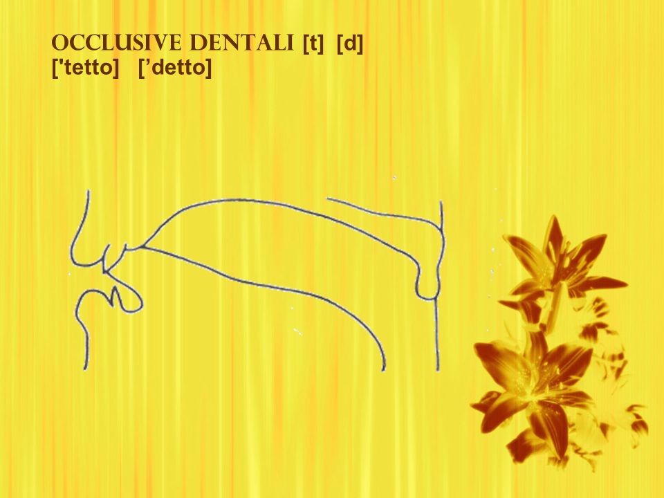 Occlusive dentali [t] [d] [ tetto] [’detto]