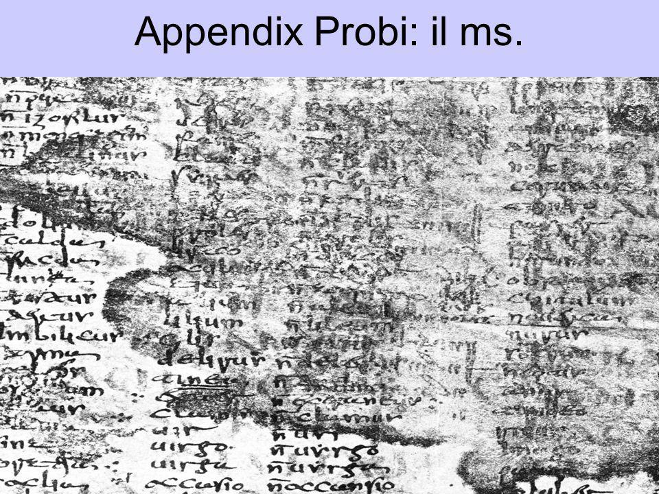 Appendix Probi: il ms.