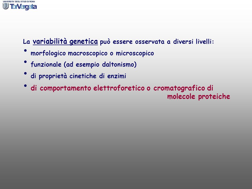 La variabilità genetica può essere osservata a diversi livelli: