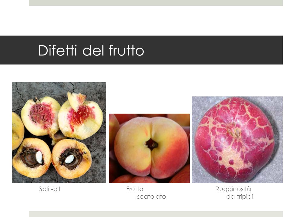 Difetti del frutto Split-pit Frutto scatolato Rugginosità da tripidi