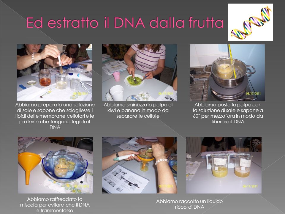 Ed estratto il DNA dalla frutta