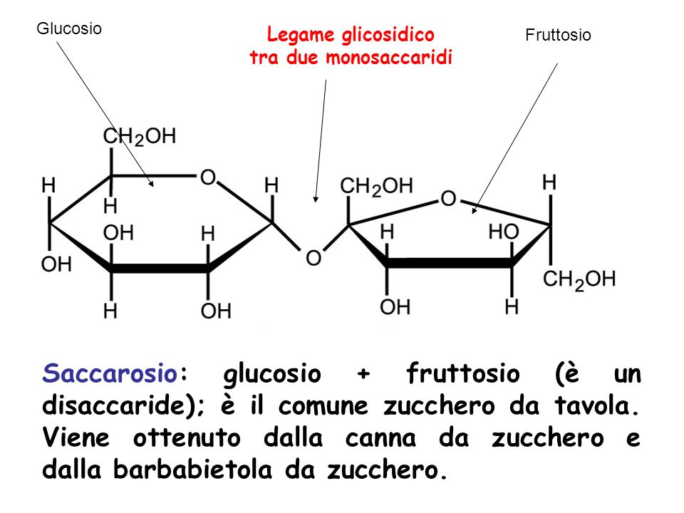 Glucosio Legame glicosidico. tra due monosaccaridi. Fruttosio.