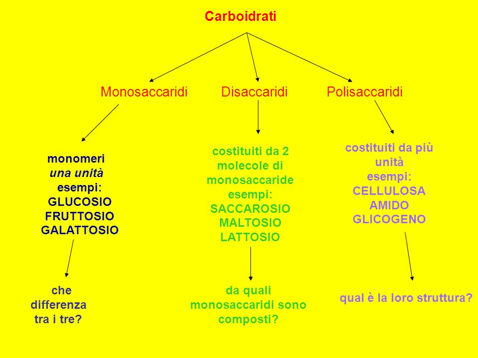 Monosaccaridi Disaccaridi Polisaccaridi Carboidrati