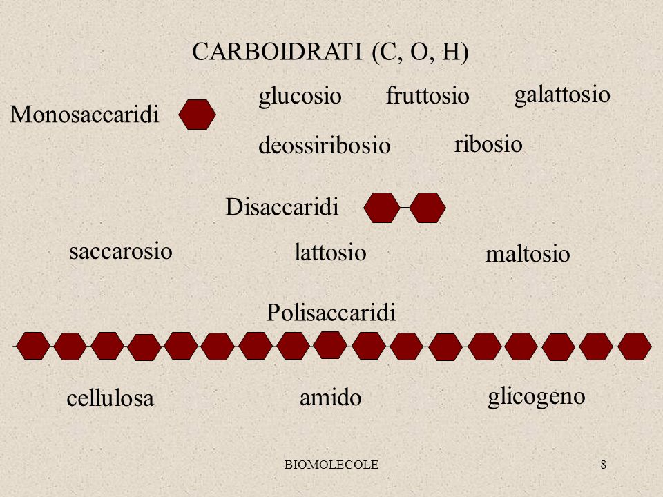 CARBOIDRATI (C, O, H) glucosio fruttosio galattosio Monosaccaridi