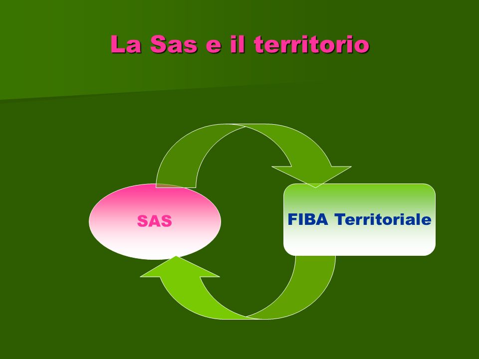 La Sas e il territorio SAS FIBA Territoriale